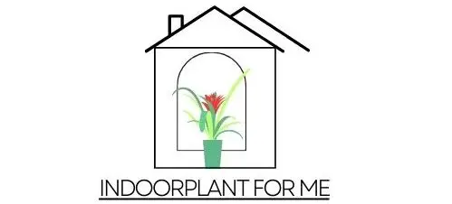 indoorplantforme