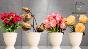 How to Treat Botrytis Blight on Roses: A Comprehensive Guide